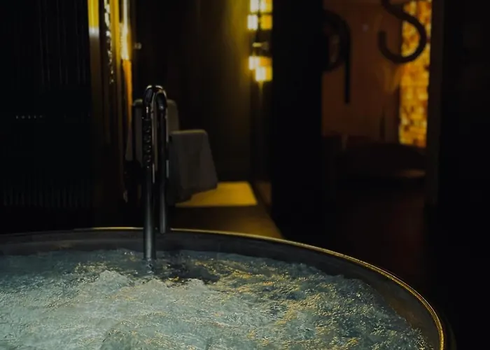 Novawisla & 维斯拉